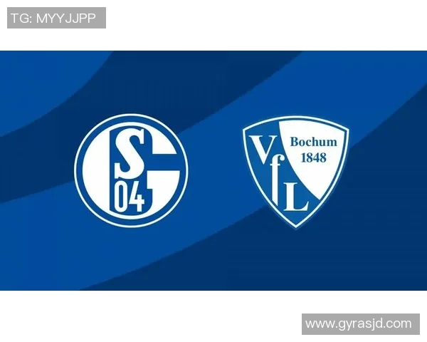 多特蒙德与沙尔克历史交锋回顾与球队发展历程分析