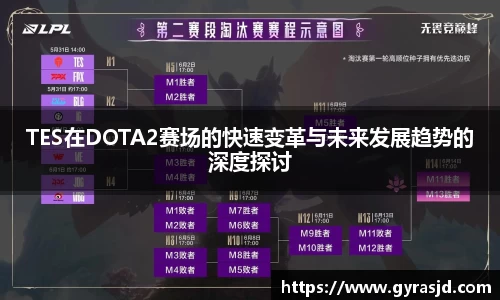 TES在DOTA2赛场的快速变革与未来发展趋势的深度探讨
